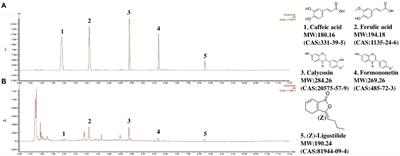 Effects of Danggui Buxue decoction on host gut microbiota and metabolism in GK rats with type 2 diabetes